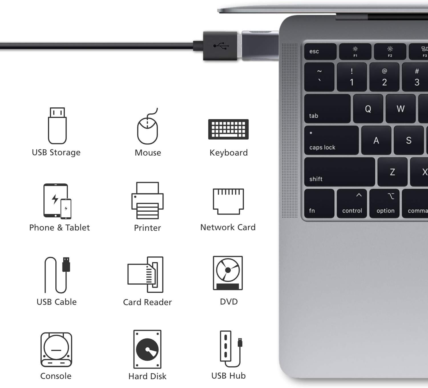 USB-C to USB 3.0 Adapter (2-Pack), Thunderbolt 4/3 to USB Female OTG for Macbook 2025, Ipad 2025, Samsung, More Type-C Devices